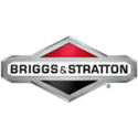 Briggs & Stratton